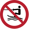 ISO 7010 sign P058: No water skiing