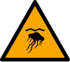 ISO 7010 sign W069: Warning; jellyfish