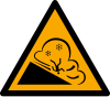 ISO 7010 sign W083: Warning; avalanche